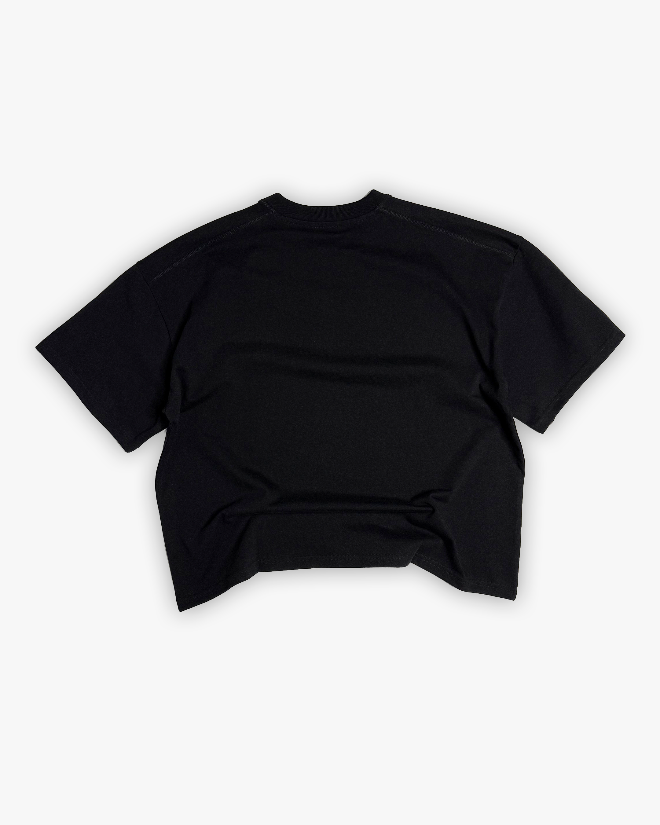 Boxy Crop Blank Tee